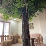 Pastelköy Preschool | Pastel Köy Çayyolu Alacaatlı Ümitköy İncek Kreş Anaokulu