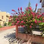 Minik Kaşifler Gündüz Bakımevi