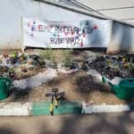 Artvin Bk Kampüs Akademi