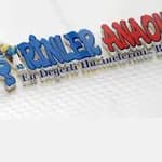 Özel Çayırova Şirinler Anaokulu