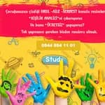 Dilek Kök Dursun Koçluk Merkezi (dkd)