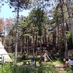 Minik Yıldızlar Orman Anaokulu